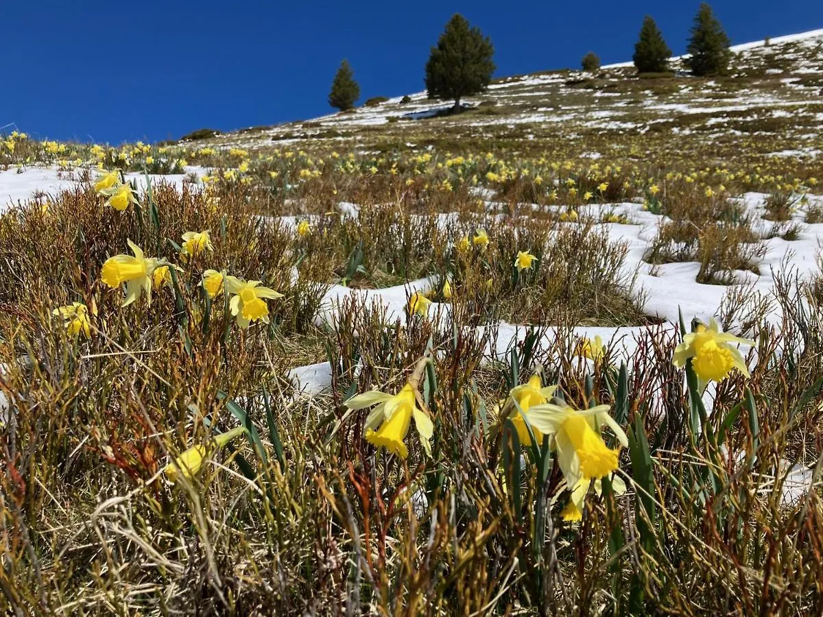 Au Bachat-Bouloud, Appartement 3 Pieces 6 Personnes Avec Balcon Plein Sud Chamrousse 0*,
